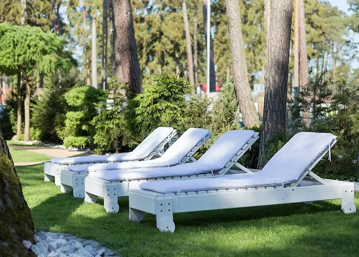 Zwierzynscy 波别罗沃